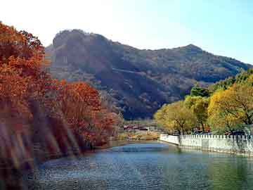 打胎药哪里可以购买吃打胎药前可以吃海鲜吗（吃打胎药前能吃早餐吗）